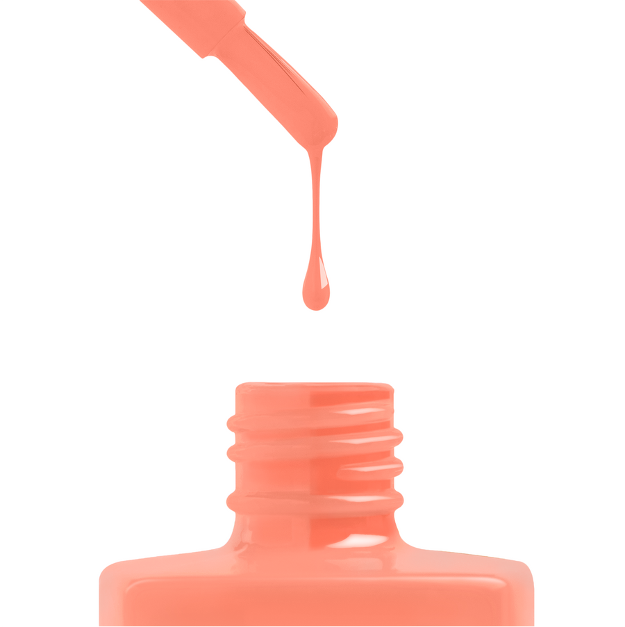 221 Orangesicle